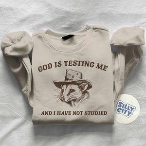God Is Testing Me And I Have Not Studied, Funny Sweatshirt, Possum Sweatshirt, Vintage Cartoon Sweater, Unisex