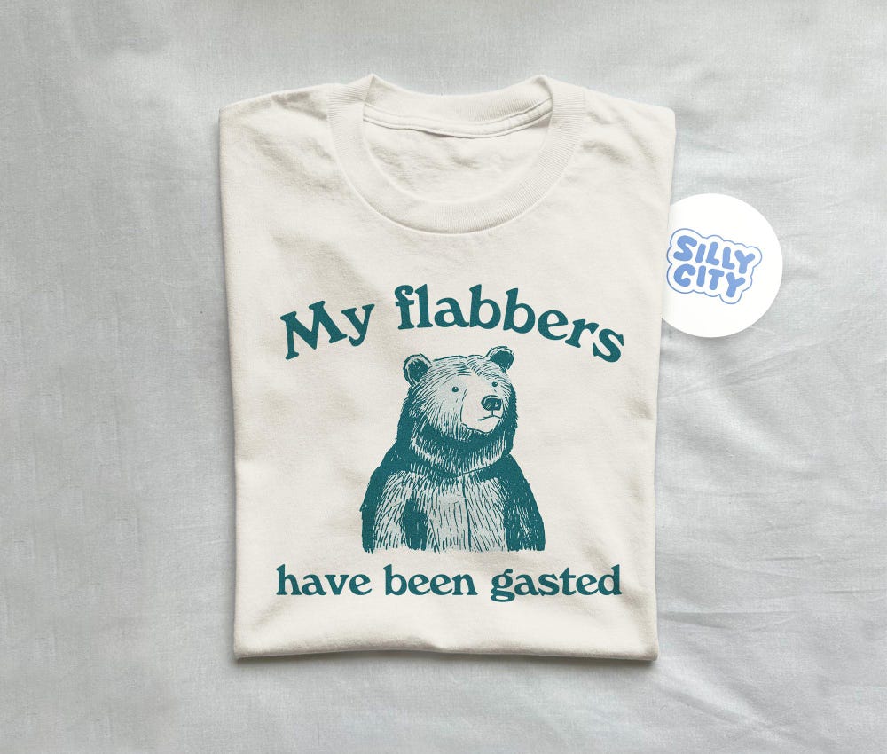 Silly Shirt My Flabbers Have Been Gasted - Unisex T Shirt, Funny Shirt, Graphic Tee, Silly T Shirt Sillycityco