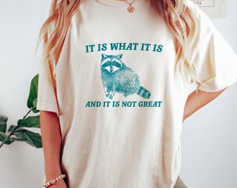 It Is What It Is And It Is Not Great - Vintage Drawing T Shirt, Raccoon Meme T Shirt, Funny Trash Panda T Shirt, Unisex Tee