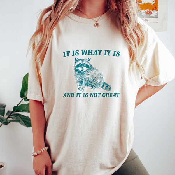 It Is What It Is And It Is Not Great - Vintage Drawing T Shirt, Raccoon Meme T Shirt, Funny Trash Panda T Shirt, Unisex Tee