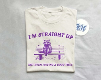 This Is Not A Good Time - Raccoon Drawing T Shirt, Raccoon Meme T Shirt, Sarcastic T Shirt, Unisex