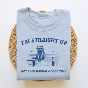 Könnte beinhalten: Hellblaues T-Shirt mit einem Aufdruck eines Waschbären, der auf einer Bank sitzt. Der Text "I'm Straight Up Not Even Having A Good Time" ist auf dem T-Shirt aufgedruckt.