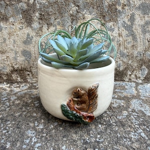 May include: Cream-colored ceramic planter with a detailed squirrel relief. The planter holds a blue-green succulent and air plants. The squirrel is brown with a fluffy tail, perched on a green and brown leaf. A decorative piece for home decor.
