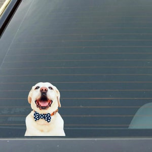 Pet Sticker Decal, Personalized Dog, Cat any PET Sticker Decal, Custom Pet Decal Sticker, Animal Decal, Pet Car Decal Sticker
