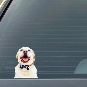 Pet Sticker Decal, Personalized Dog, Cat any PET Sticker Decal, Custom Pet Decal Sticker, Animal Decal, Pet Car Decal Sticker