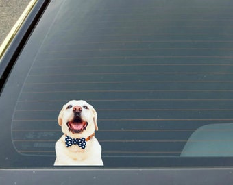 Pet Sticker Decal, Personalized Dog, Cat any PET Sticker Decal, Custom Pet Decal Sticker, Animal Decal, Pet Car Decal Sticker