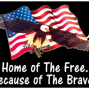 Home of the Free.., Because of the Brave Eagle and American Flag Sticker Deca