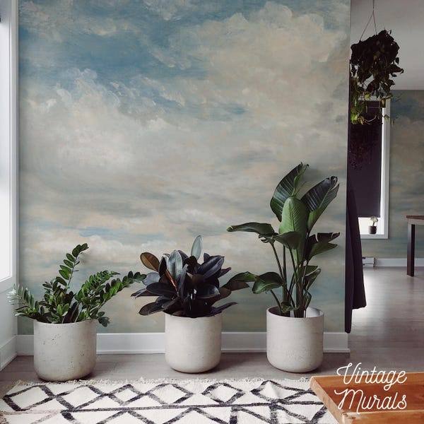 Cloudy Sky Wall Mural, Peel and Stick Wallpaper 69