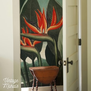 Exotic tropical flower art, Strelitzia wallpaper, Tropical jungle mural, Lush jungle botanical design, Vintage tropical artwork #25
