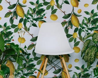 Vintage Lemon Removable Wallpaper, Kitchen Citrus Mural 88