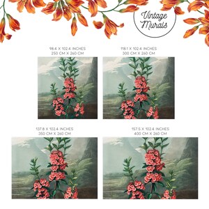 Red floral illustration wallpaper, Peel and stick, Wildflower botanical design, Floral wall mural #30 imagem 3