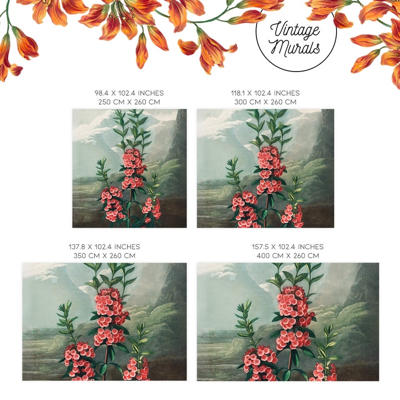 Red floral illustration wallpaper, Peel and stick, Wildflower botanical design, Floral wall mural #30 imagem 3