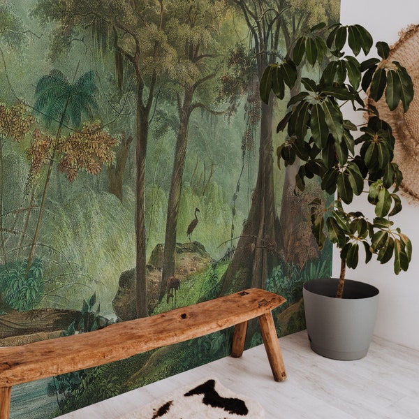 Rainforest Jungle Removable Wall Mural, Peel And Stick Painting Wallpaper, Vintage Decor 07