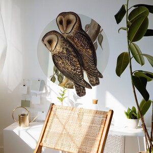 Couple of owls sitting on a branch circle wall decal, Dot wall sticker with vintage illustration 17