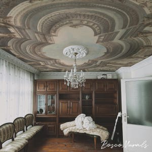 Puede incluir: Interior con un mural de techo detallado con un diseño clásico en tonos grises, marrones y azules. Una lámpara de araña de cristal cuelga debajo de una roseta blanca. Muebles de madera oscura y un banco con una manta están en la habitación.