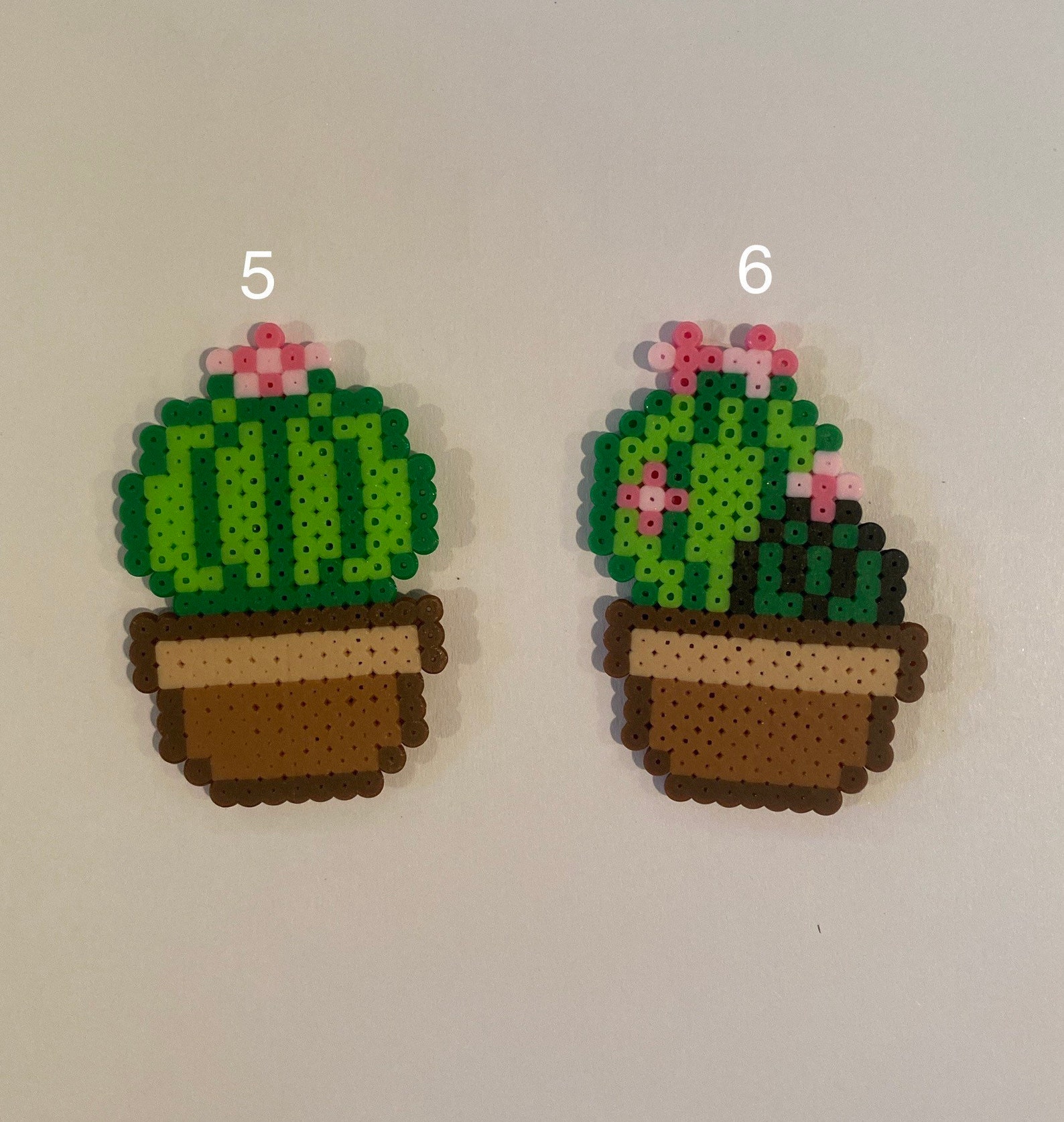 Cactus Cactus Keychain Cactus Art Custom Cactus Keychain and