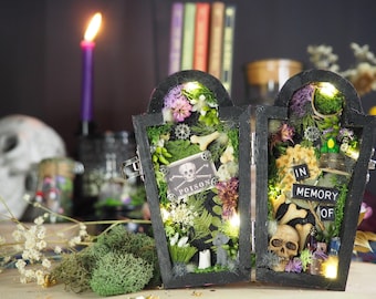 coffin shadow box, mini coffin display, gothic diorama, bookshelf decor, Halloween decor, macabre decor