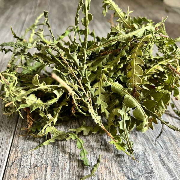 Dried Sweet Fern, Comptonia Peregrina, Dried Herbs, Spell Craft,