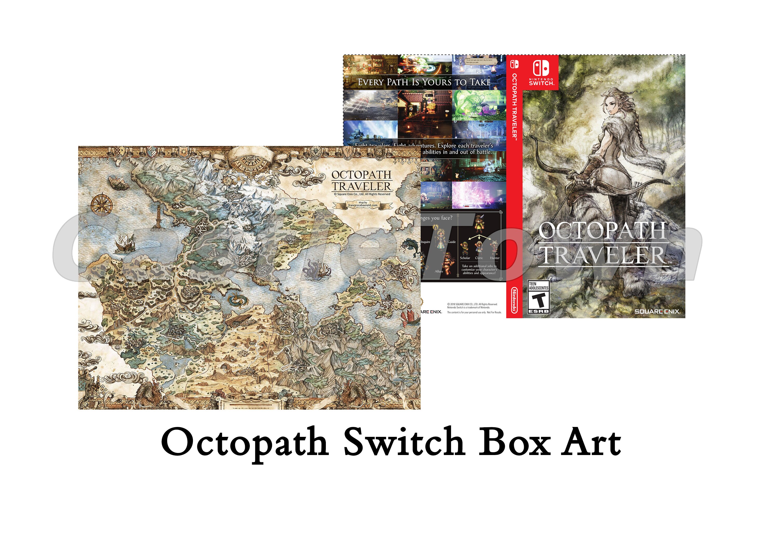 Octopath Traveler Replacement Case: Double-sided Replacement 