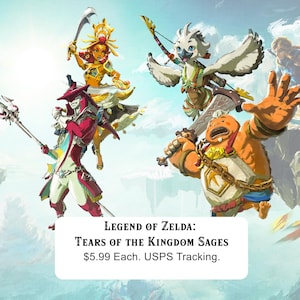 Legend of Zelda: Sages Tears of the Kingdom Card