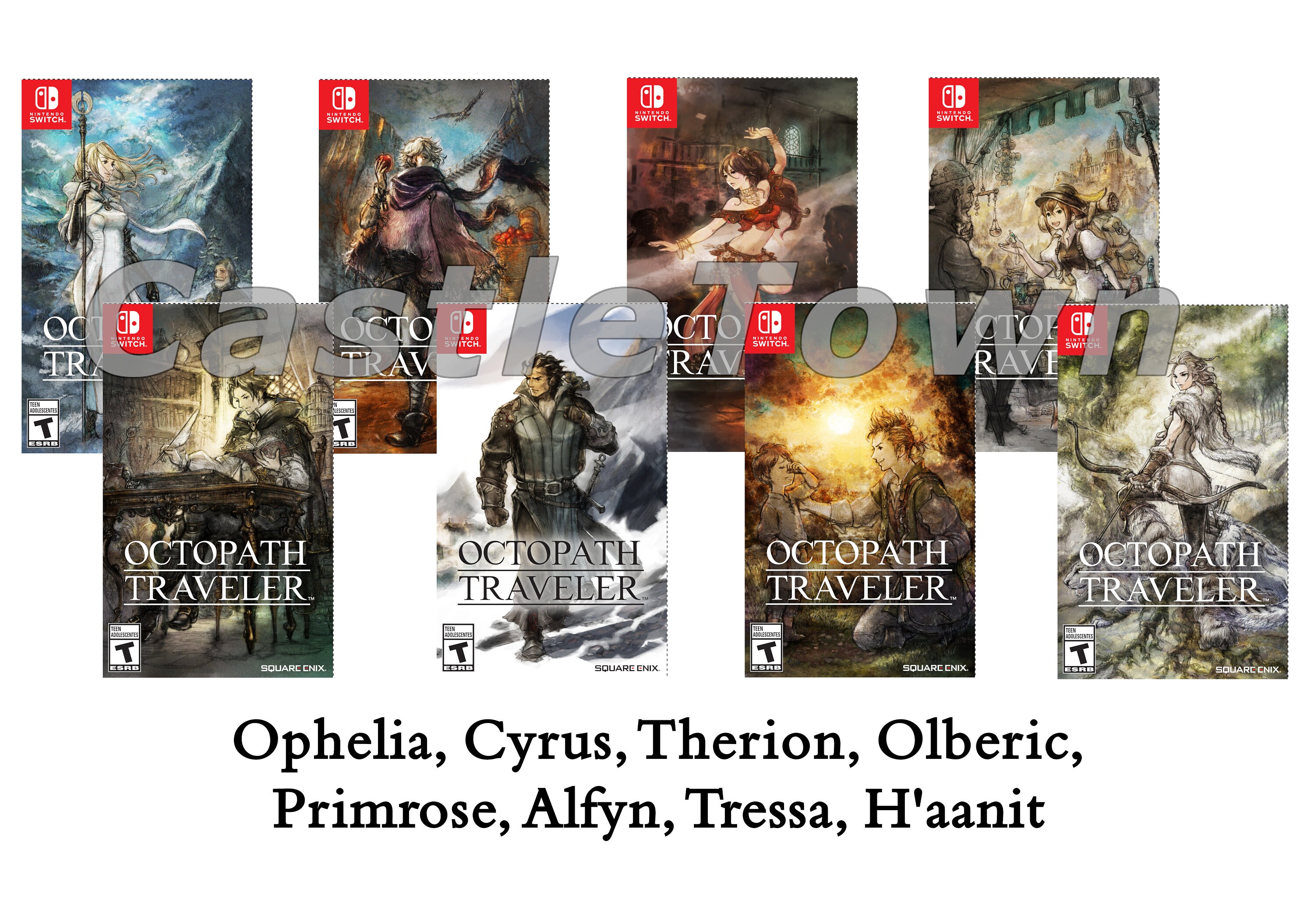 Octopath Traveler Replacement Case: Double-sided Replacement -  Israel