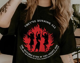 They're burning all the witches shirt, I did something bad tshirt, Song Lyric, Reputation Inspired Shirt