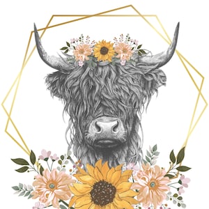 Highland cow PNG Digital download