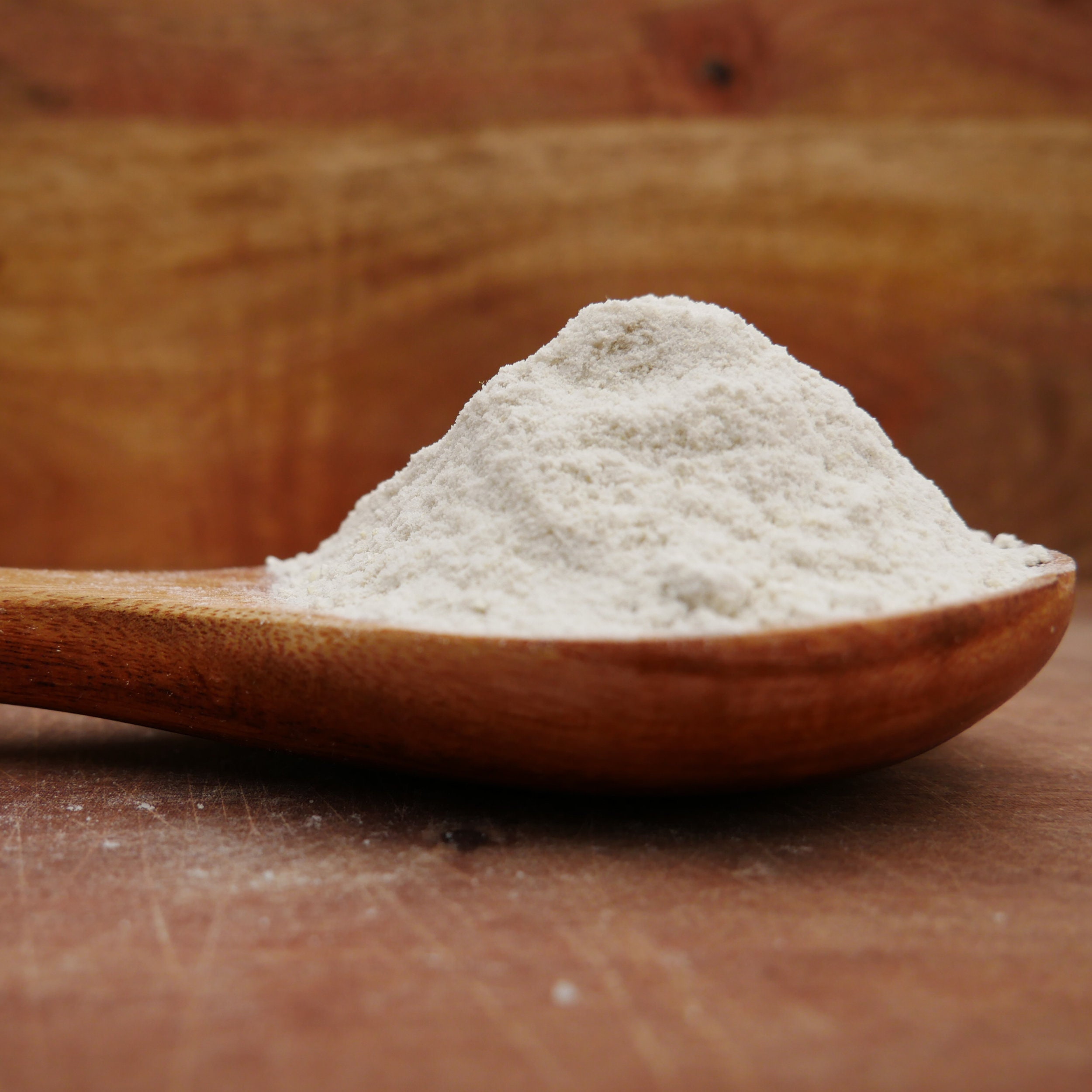 Tempeh Starter Rhizopus Oligosporus Organic 75g 25g Etsy