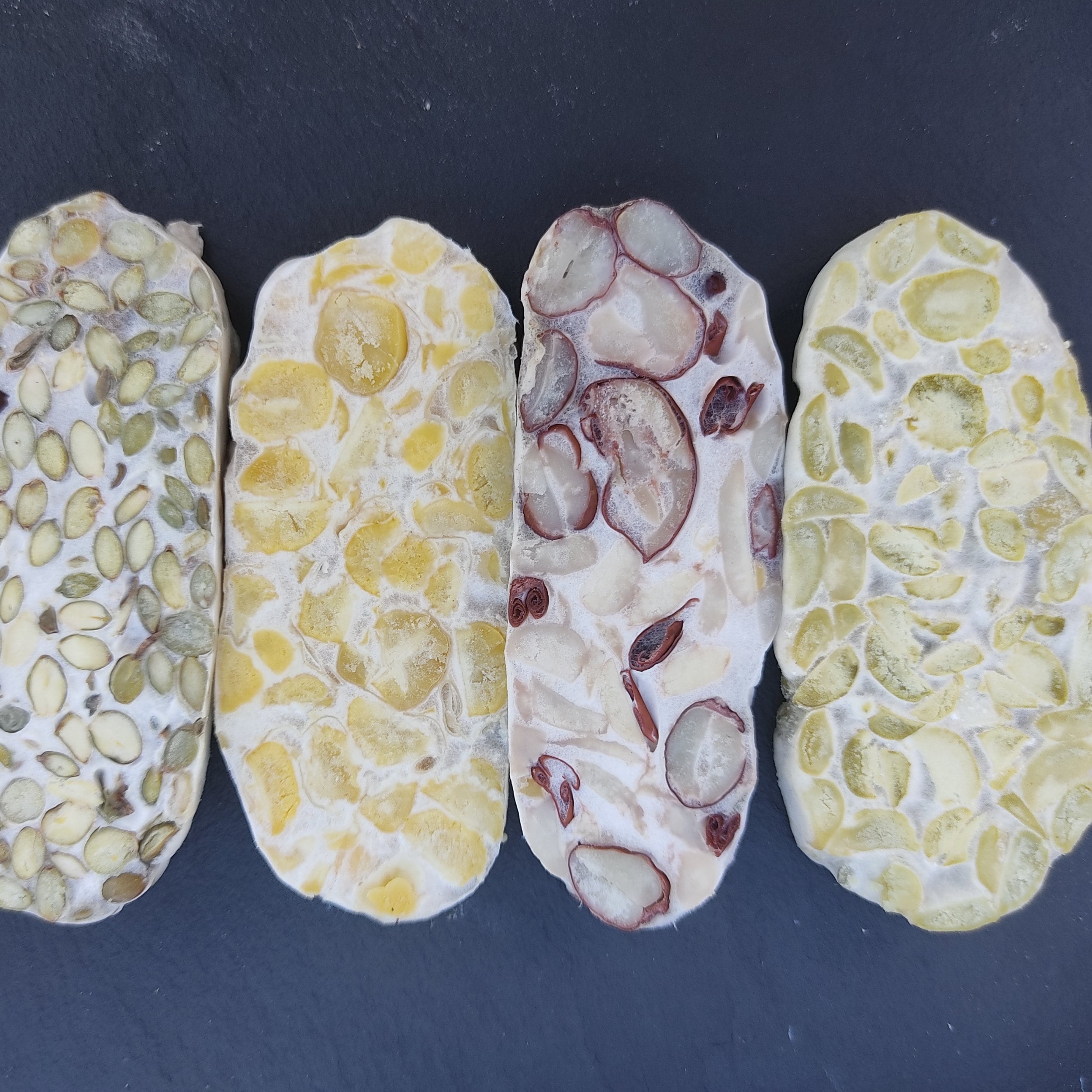 Tempeh Starter Rhizopus Oligosporus Organic 75g 25g Etsy