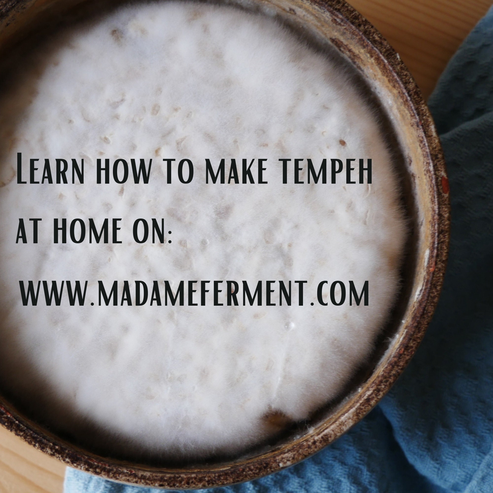 Tempeh Starter Rhizopus Oligosporus Organic 75g 25g Etsy