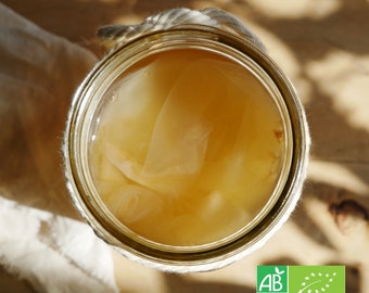 Organic Kombucha scoby spring water