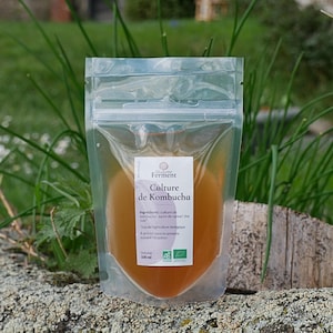 Organic Kombucha scoby spring water