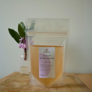 Cultura de Kombucha Orgânica para bebida espumante fermentada caseira