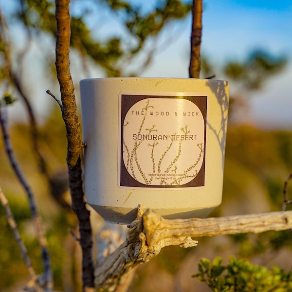 Sonoran Desert Candle | Concrete Vessel | 8oz or Tealight Set | Coconut Soy Wax | Wooden Crackling Wick