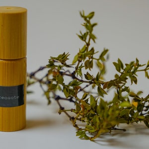 Desert Rain Fragrance Oil | Chaparral | Larrea tridentata | Creosote Bush
