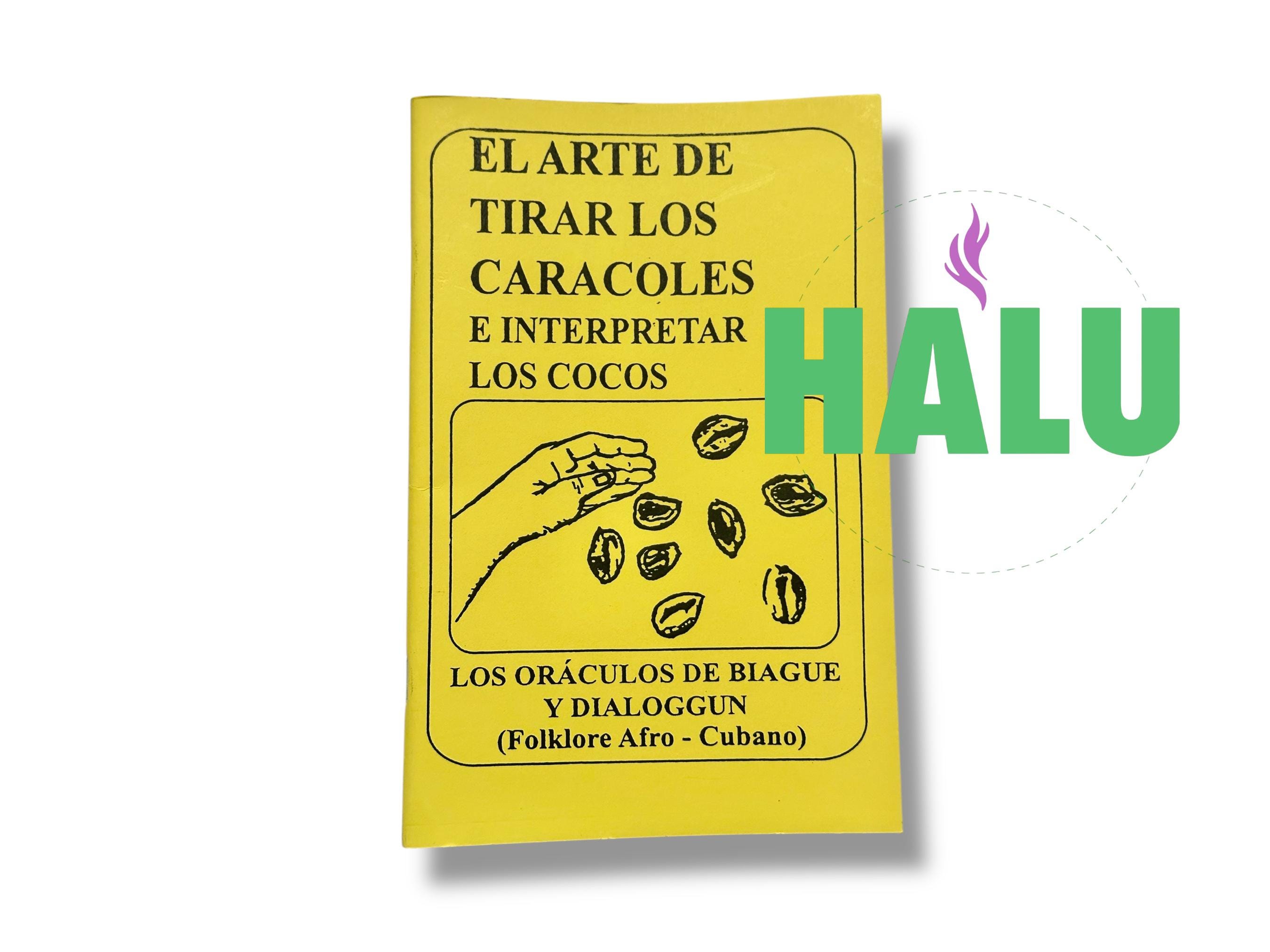 Carro de caracoles México