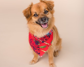 Bandana for Dogs, Trendy Accessories for Your Pup's Personality