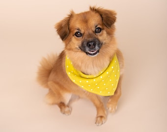 Dog Bandana,  Stylish Accessories for Your Pup's Personality