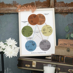 DIGITAL TCM 5 Element Poster Colorful Rainbow Sheng Ke Cycle Wood, Fire, Earth, Metal, Water, Liver, Heart, Spleen, Lung, Kidney