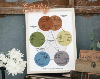 DIGITAL TCM 5 Element Poster Colorful Rainbow Sheng Ke Cycle Wood, Fire, Earth, Metal, Water, Liver, Heart, Spleen, Lung, Kidney