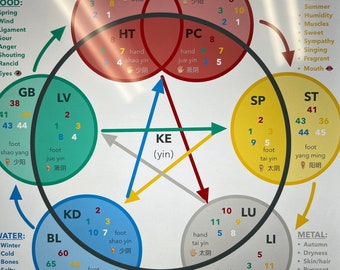 DIGITAL Acupuncture Quick Reference | 2 page PDF, five element, horary cycle, tongue diagnosis, pulse diagnosis