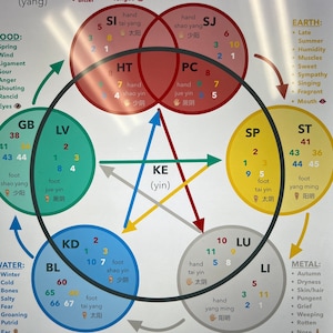 Könnte beinhalten: Ein farbenfrohes Diagramm mit einem Stern in der Mitte und Kreisen darum herum. Das Diagramm ist mit den fünf Elementen der chinesischen Medizin beschriftet: Feuer, Erde, Metall, Wasser und Holz. Jedes Element ist mit einem bestimmten Organsystem, einer Jahreszeit und einer Emotion verbunden. Das Diagramm enthält auch die Namen der 12 Meridiane der chinesischen Medizin.