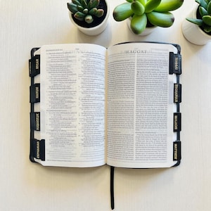 以下が含まれることがあります： Micah、Nahum、Habakkuk、Zephaniah、Haggai、Zechariah、Malachi、Matthewと書かれた黒いインデックスタブが縁に付いた、白いページに黒い文字が印刷された開いた本。本は明るい色の表面に置かれ、緑色の多肉植物が添えられています。