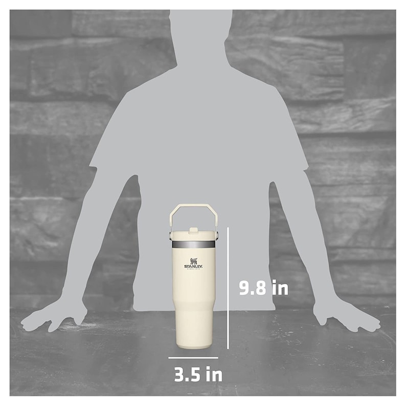 May include: A white stainless steel travel mug with a black handle and lid. The mug is 9.8 inches tall and 3.5 inches wide. The mug has the Stanley logo on the side.