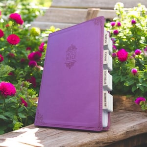 Custom Pink NIV Tabbed BIBLE with Tabs Catholic Gift for Her Mom Women Girls Confirmation Baptism Christian Study Wedding Birthday Christmas