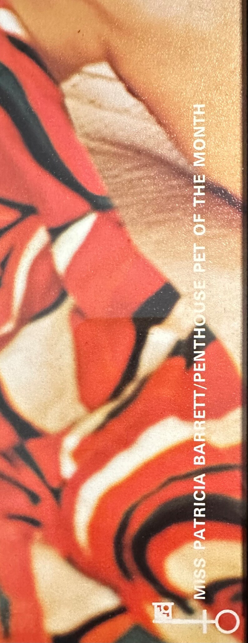 Vintage 1970 Penthouse Centerfold Framed Art Photography - Etsy