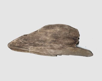 Flat Freshwater Driftwood: Natural Wood Decor (15 inch)