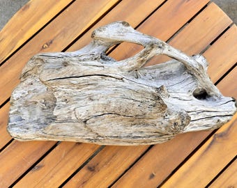 Natural Driftwood Centerpiece: 18&quot; Sculpture for Aquarium or Terrarium
