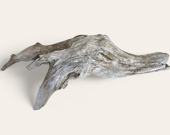 26&quot; Natural Driftwood Sculpture: Freshwater Aquarium Decor