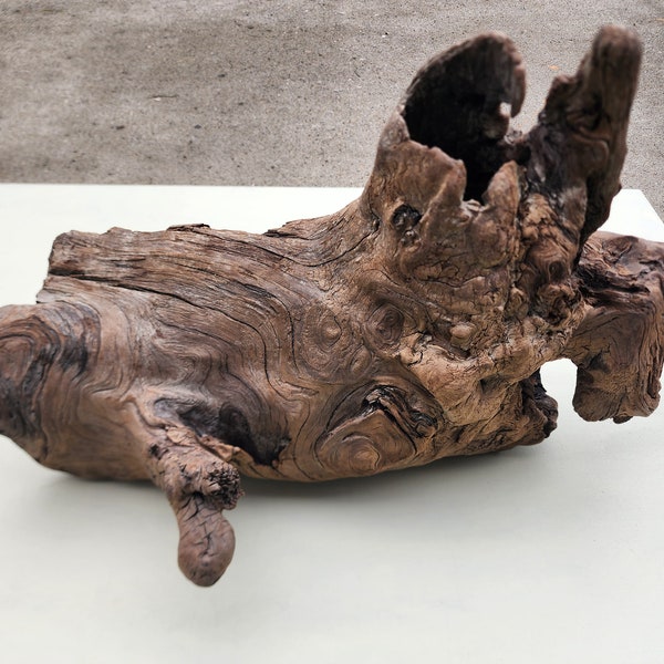 Natural driftwood piece,  17" wide, Driftwood for Decor/ Aquarium/Project/ Terrarium, Freshwater Driftwood